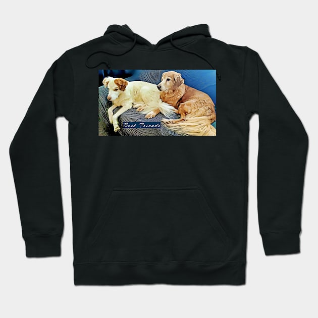 Dogs Best Friends Hoodie by PandLCreations